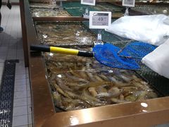 水产区-七鲜超市(通州ONE店)