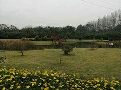 -夏河溪乡野公园
