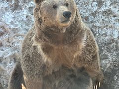 -新疆天山野生动物园