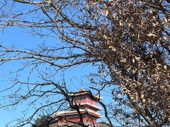 -终南山南五台景区