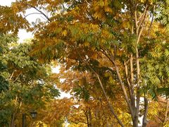 -狼山风景名胜区