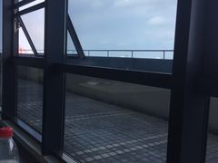 -海事大学图书馆(临港校区)