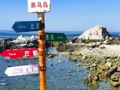 -养马岛旅游度假区