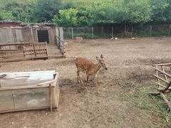 -北京山里寒舍度假酒店