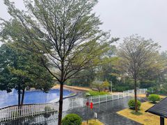 -春霞园餐厅