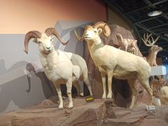 -陕西自然博物馆