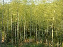 -黄公望隐居地