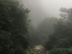 -青峰峡国家森林公园