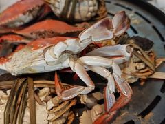 -半岛听涛蒸汽海鲜自助(K11店)