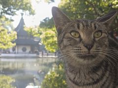 -西园戒幢律寺