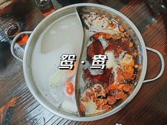 -肥婆麻辣火锅.顺德首创药材麻辣火锅(容桂店)