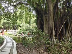 -海珠湖公园