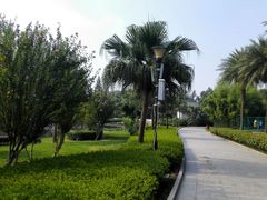 -河泥荡文化公园