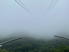 -陕西省红河谷森林公园