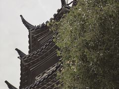 -苏州上方山国家森林公园