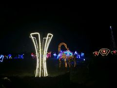 -万绿园