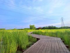 -永定河休闲森林公园