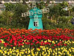 -南宫五洲植物乐园