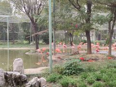 -石家庄市动物园