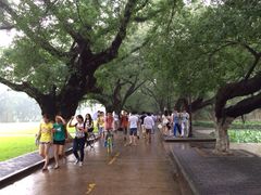 iphone_upload_pic-中山大学学者灵芝(园南路店)