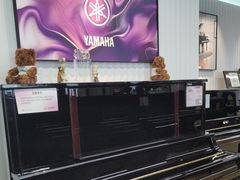 -雅马哈钢琴专卖店盛世雅歌琴行·电钢琴城·钢琴培训(翠微路店)