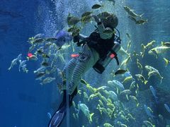 -波塞冬海底世界