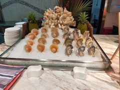 -云海轩·海鲜自助-河北云瑧世纪大饭店1F