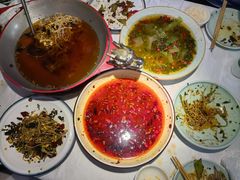 -蜀龙阁· 龍头水煮鱼(天坛店)