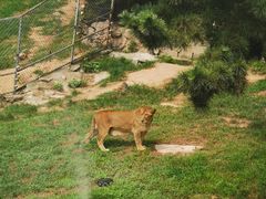 -西霞口神雕山野生动物世界