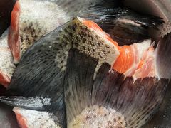 -众彩物流水产市场