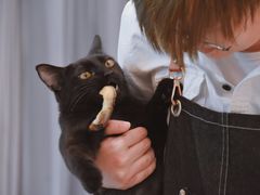 -浣熊柯尔鸭土拨鼠·电玩咖