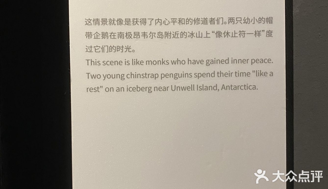 打卡·国家地理影像展