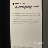 打卡·国家地理影像展