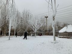 -九十九顶毡房(阜石路店)