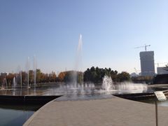 iphone_upload_pic-白塘生态植物园