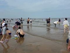 -日照海滨国家森林公园