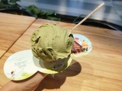 -野人先生现做冰淇淋(西安赛格店)