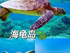 -双月湾