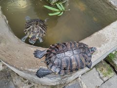 -后海16号·北京私房菜