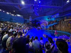 -烟台海昌鲸鲨海洋公园