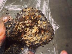 黑芝麻麻糍-叶氏麻糍(鼓浪屿店)