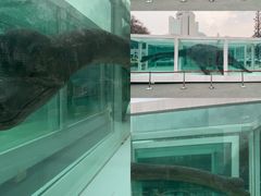 -金茂览秀城