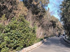 -云龙山