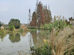 -花开海上生态园