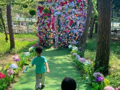 -牛鱼嘴原始生态风景区