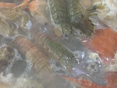 -春华海鲜城(广场西苑店)