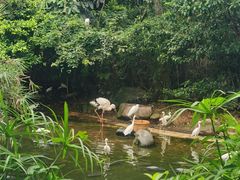 -珠海长隆海洋王国