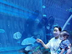 -华夏文旅西安度假区