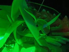 -皇子派对(同泰时代广场店)