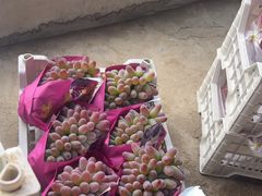 -马陆小张葡萄园农家乐